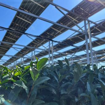 Farm Solar Structure