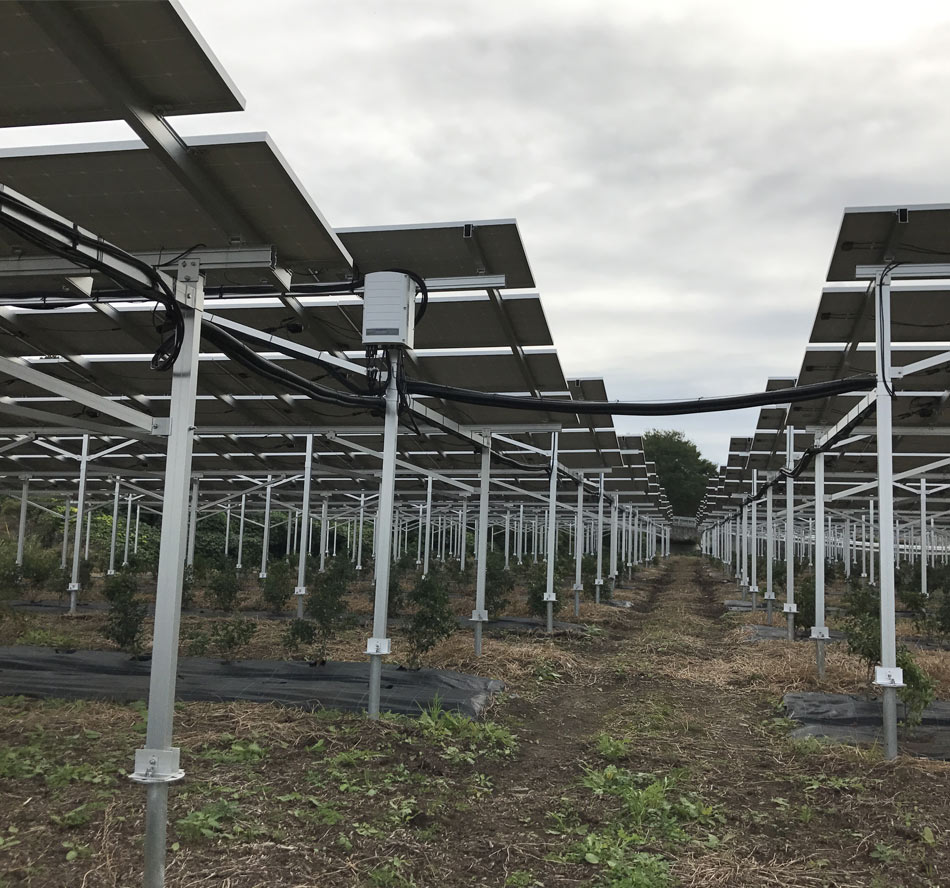Farm solar structure 